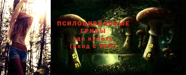 mdpv Болохово