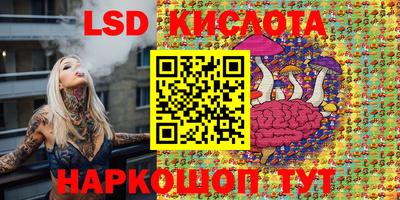 твердый Заводоуковск