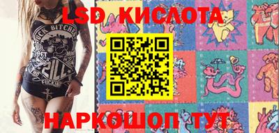 гидра Заволжье