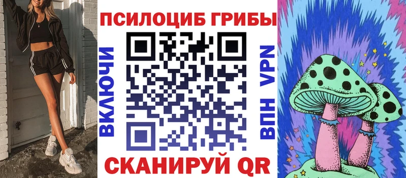 где найти   Кушва  Галлюциногенные грибы Psilocybe 