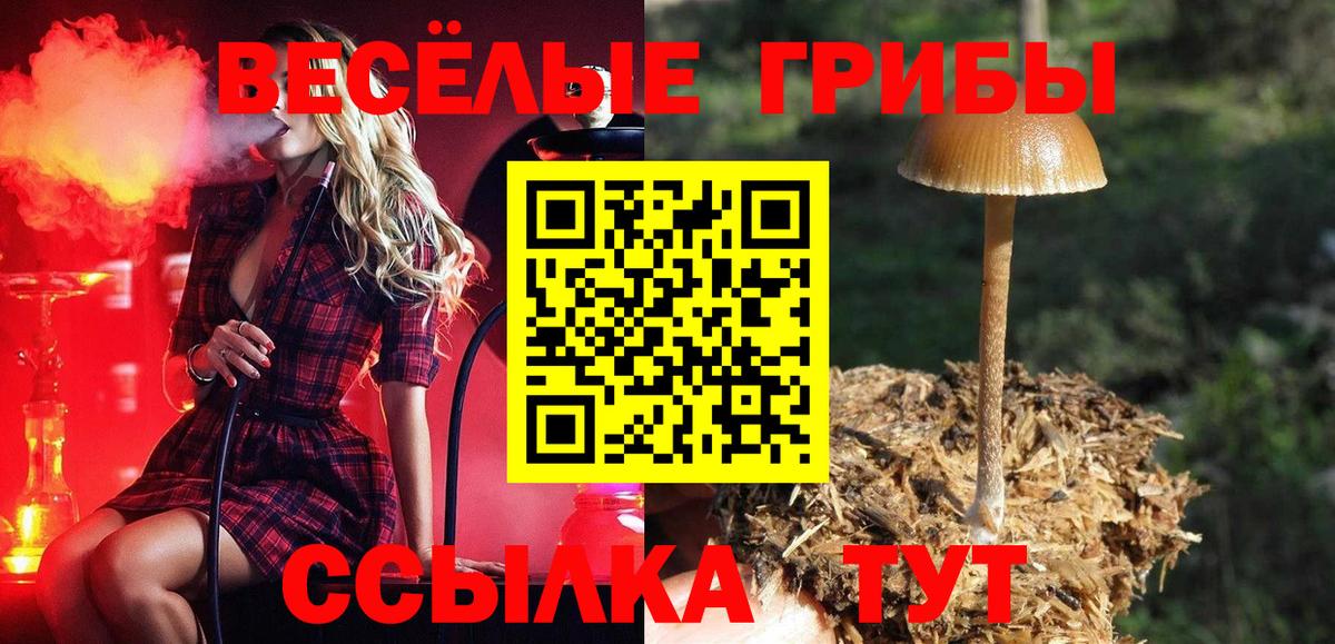 Галлюциногенные грибы MAGIC MUSHROOMS  Кушва 