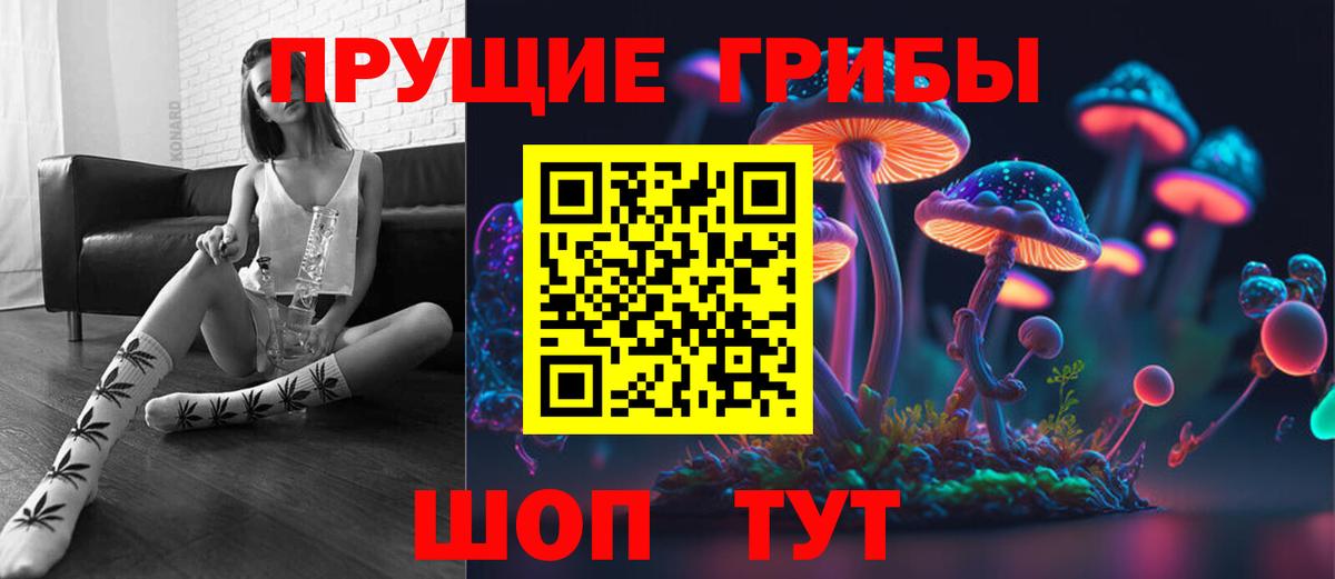 Псилоцибиновые грибы Cubensis Кушва